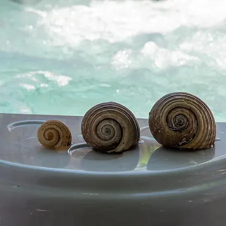 Shada's Pool & Jacuzzi Vilă