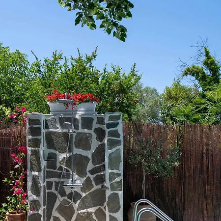 Villa Shada's Pool & Jacuzzi Nea Irakleia