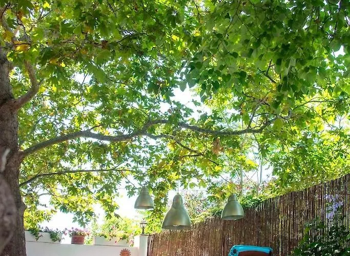 Shada's Pool & Jacuzzi Villa *