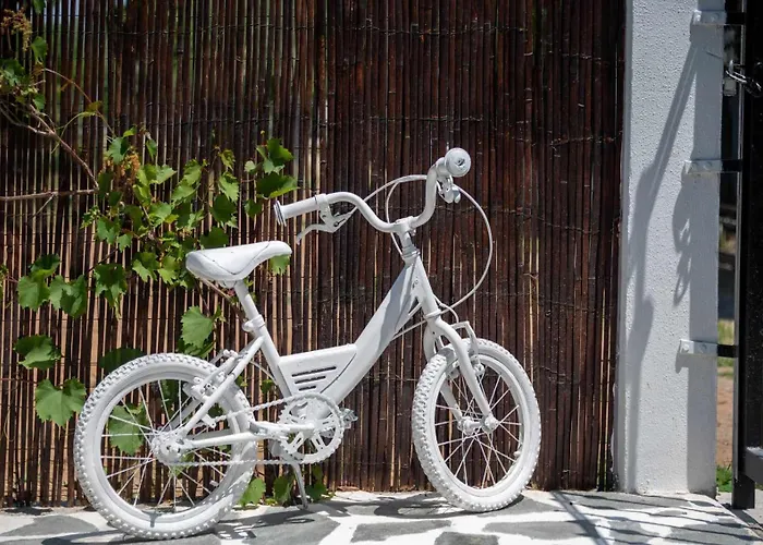 Villa Shada's Pool & Jacuzzi