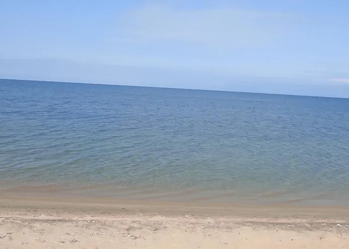 Shada's Pool & Jacuzzi