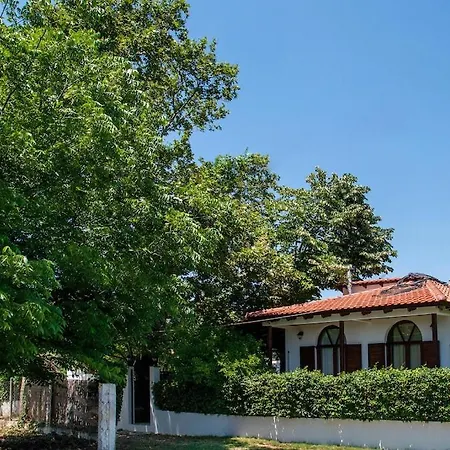 Shada's Pool & Jacuzzi Vila