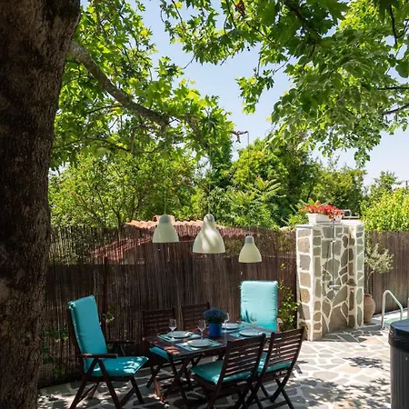 Shada's Pool & Jacuzzi *