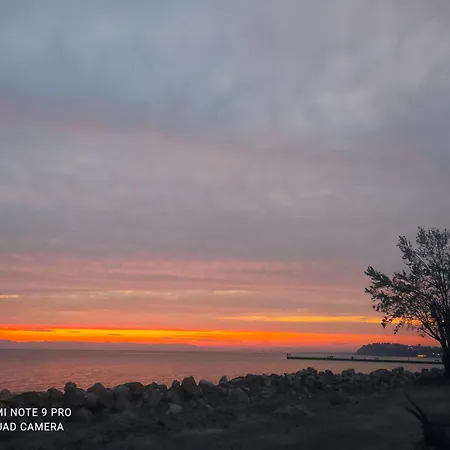 Shada's Pool & Jacuzzi Vila *